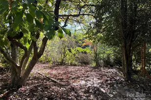 86 R and R Hyder Ln, Hendersonville, NC 28792 - Photo 27