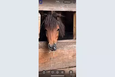 86 R and R Hyder Lane, Hendersonville, NC 28792 - Photo 37