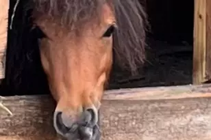 86 R and R Hyder Ln, Hendersonville, NC 28792 - Photo 37