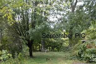 86 R and R Hyder Ln, Hendersonville, NC 28792 - Photo 31