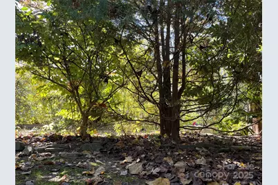 86 R and R Hyder Lane, Hendersonville, NC 28792 - Photo 25