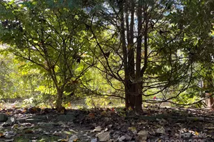 86 R and R Hyder Ln, Hendersonville, NC 28792 - Photo 25