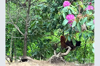 86 R and R Hyder Lane, Hendersonville, NC 28792 - Photo 35