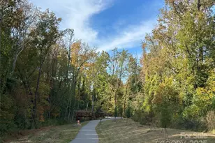 1314 Cortland Rd E, Charlotte, NC 28209 - Photo 7