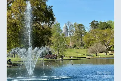 1314 Cortland Road E, Charlotte, NC 28209 - Photo 3