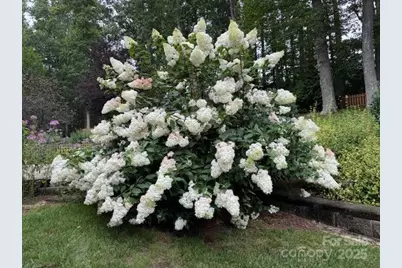 2650 Carson Woods Road, Laurel Springs, NC 28644 - Photo 41