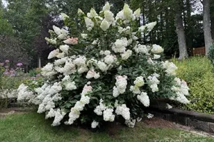 2650 Carson Woods Rd, Laurel Springs, NC 28644 - Photo 41