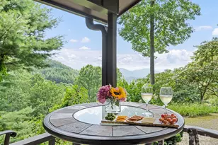 318 Grapevine Cove, Waynesville, NC 28785 - Photo 7