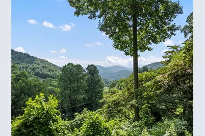 318 Grapevine Cove, Waynesville, NC 28785 - Photo 3