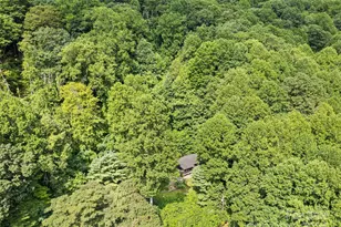 318 Grapevine Cove, Waynesville, NC 28785 - Photo 39