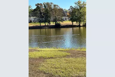 878 Summerlake Drive, Fort Mill, SC 29715 - Photo 31