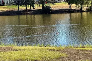 878 Summerlake Dr, Fort Mill, SC 29715 - Photo 31