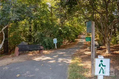 235 Butterfly Place, Tega Cay, SC 29708 - Photo 41