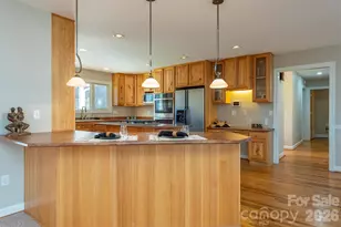 70 Midnight Ln, Waynesville, NC 28786 - Photo 9