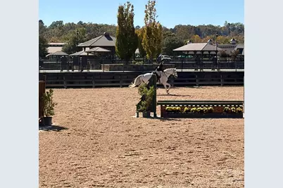 456 Hickory Loop, Rutherfordton, NC 28139 - Photo 37