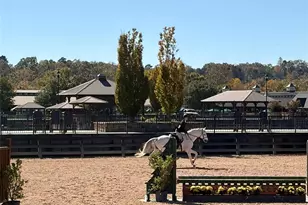 456 Hickory Loop, Rutherfordton, NC 28139 - Photo 37