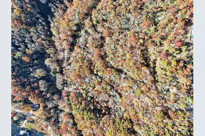 00 Brushy Fork Road, Sylva, NC 28779 - Photo 5