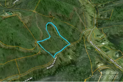 00 Brushy Fork Road, Sylva, NC 28779 - Photo 7