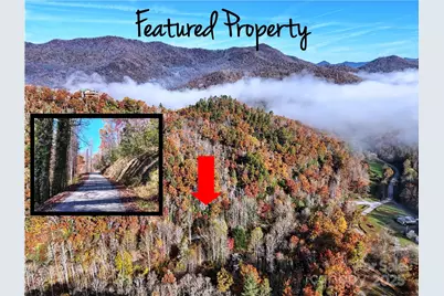 00 Brushy Fork Road, Sylva, NC 28779 - Photo 1