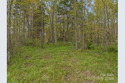 1640, 1641, 1642 River Road, Hot Springs, NC 28743 - Photo 47