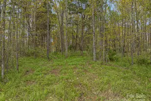 1640 1641 1642 River Rd, Hot Springs, NC 28743 - Photo 47