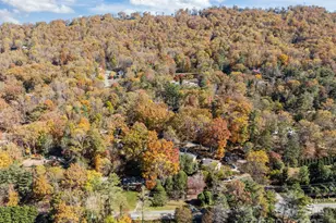 3228 Sweeten Creek Rd, Asheville, NC 28803 - Photo 19