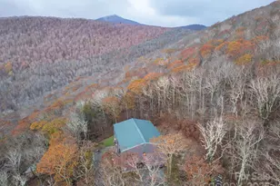 1390 Ransey Woodring Rd, Todd, NC 28684 - Photo 43