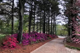 115 El Bethel Rd, Kings Mountain, NC 28086 - Photo 47