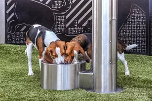 7420 N Rea Pk Ln, Charlotte, NC 28277 - Photo 13