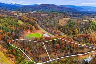 2896 Old Mars Hill Hwy, Weaverville, NC 28787 - Photo 19