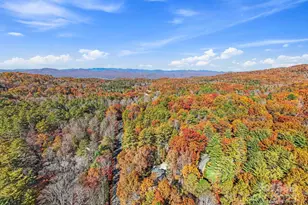 2149 Williamson Creek Rd, Pisgah Forest, NC 28768 - Photo 37