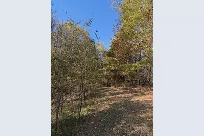 523 McDade Road, Tryon, NC 28782 - Photo 35