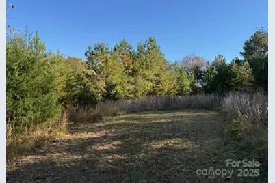 523 McDade Road, Tryon, NC 28782 - Photo 39