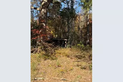 523 McDade Road, Tryon, NC 28782 - Photo 29