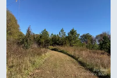 523 McDade Road, Tryon, NC 28782 - Photo 27