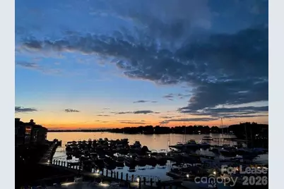 18749 Vineyard Point Lane, Cornelius, NC 28031 - Photo 31