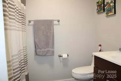 18749 Vineyard Point Lane, Cornelius, NC 28031 - Photo 23