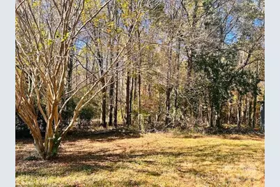 00000 Saint Martin Road, Albemarle, NC 28001 - Photo 3