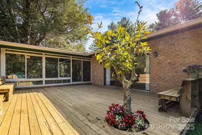 20 Memminger Drive, Flat Rock, NC 28731 - Photo 33