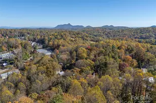 189 Friendly Cir, Saluda, NC 28773 - Photo 43