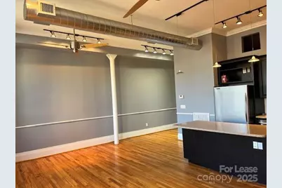 52 Biltmore Avenue #203, Asheville, NC 28801 - Photo 7