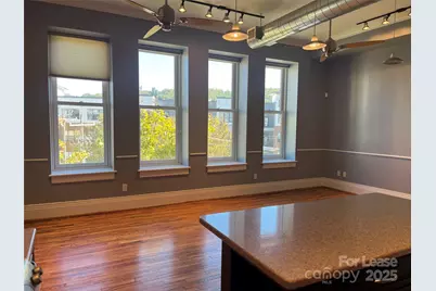 52 Biltmore Avenue #203, Asheville, NC 28801 - Photo 9