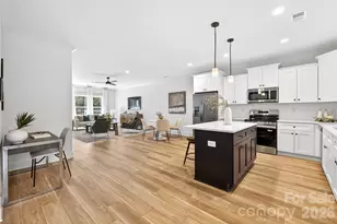 4207 Eagle Chase Dr, Charlotte, NC 28216 - Photo 13