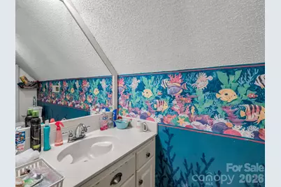1102 S Mountain Road, Bostic, NC 28018 - Photo 31