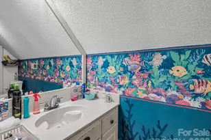 1102 S Mountain Rd, Bostic, NC 28018 - Photo 31