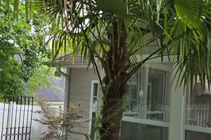 1144 Blowing Rock Cove, Fort Mill, SC 29708 - Photo 23