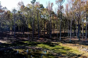 00 Waxhaw Hwy, Mineral Springs, NC 28108 - Photo 1