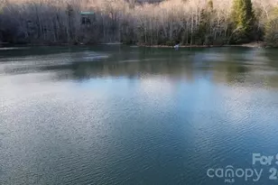 48 & 50 Wild Turkey Run, Black Mountain, NC 28711 - Photo 3