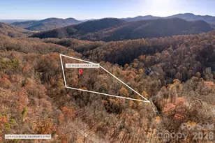 48 & 50 Wild Turkey Run, Black Mountain, NC 28711 - Photo 43