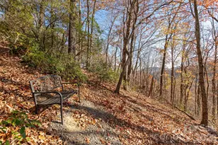 48 & 50 Wild Turkey Run, Black Mountain, NC 28711 - Photo 39